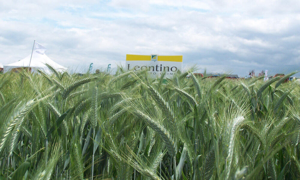 élevage seigle d'hiver blé triticale orge avoine pois féverole vesce luzerne graminées